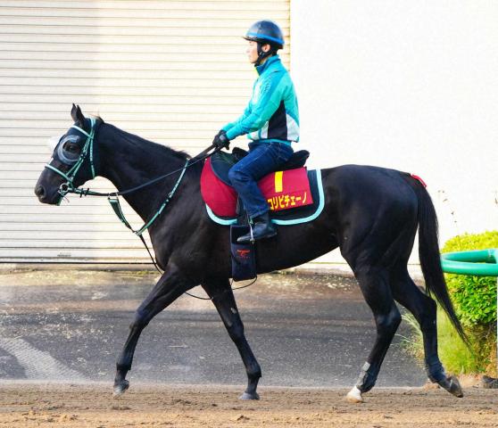 【仏G1ジャックルマロワ賞】アスコリピチェーノ6着　黒岩師「自分の競馬をさせてもらえなかった」