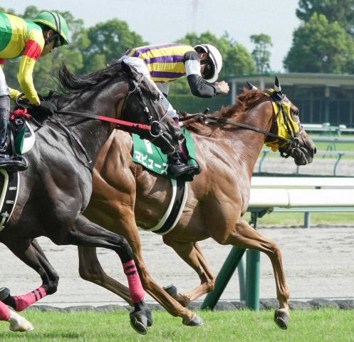 【中京記念】マピュース　首差で重賞初V　レース史上初の3歳牝馬制覇　横山武「減量したかいがあった」