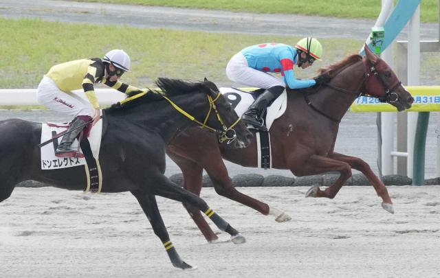 【中京新馬戦】キーンセンス　力強く抜け出し初陣V