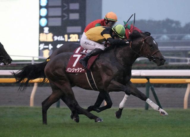 【キーンランドC】パンジャタワー　必勝の一戦　デビュー戦以来の千二も問題なし
