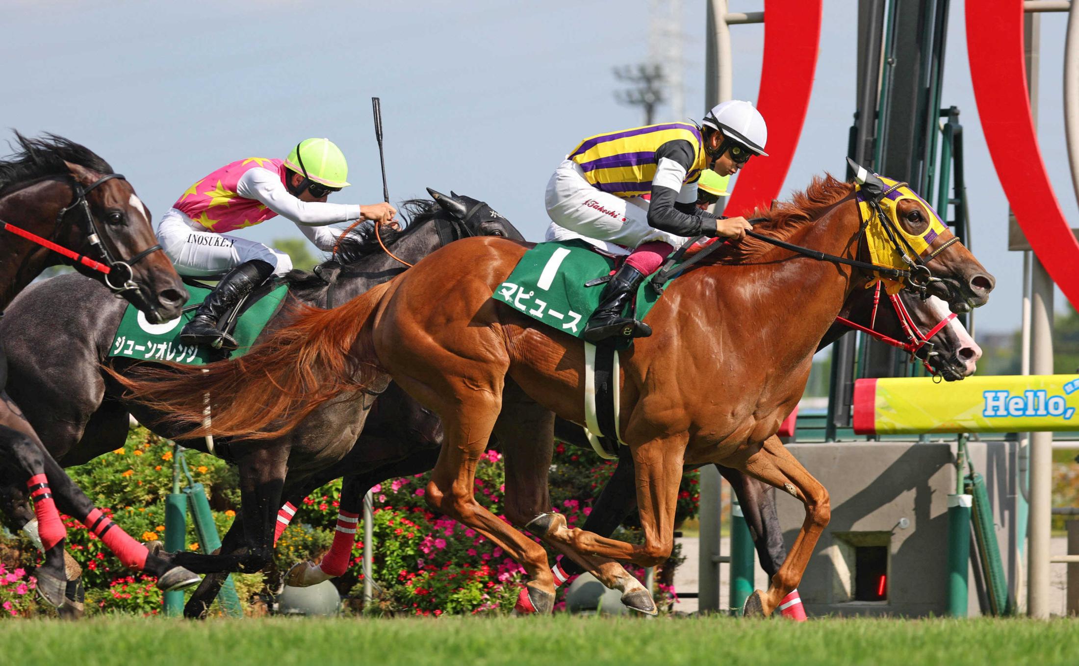 【中京記念】マピュース待望の重賞初制覇　３歳牝馬Ｖはレース史上初　横山武「来たかい、減量したかいあった」