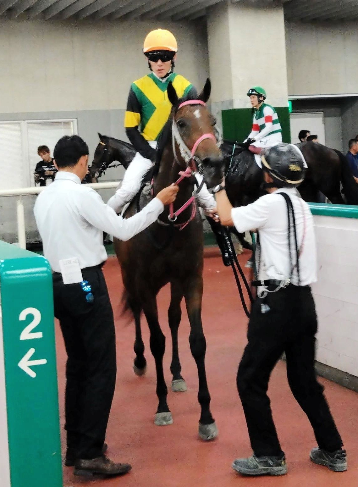 【新馬戦】スウィフトミモザ　末脚ハマった　遅い流れが勝因に　辻師「上手に競馬ができましたね」