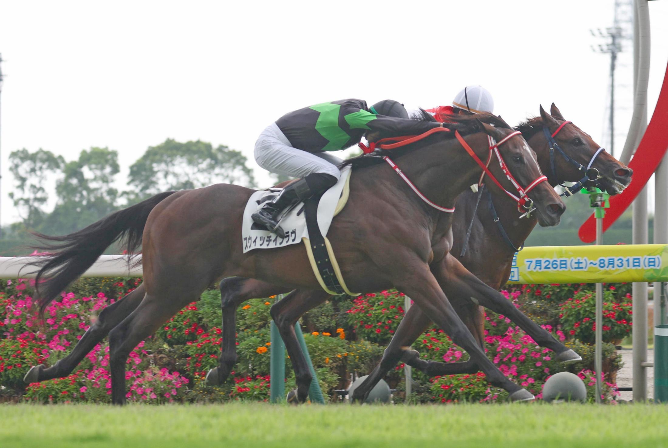 【新馬戦】スウィッチインラヴ　父一番星決めた　坂井「無事に勝つことができて良かった」