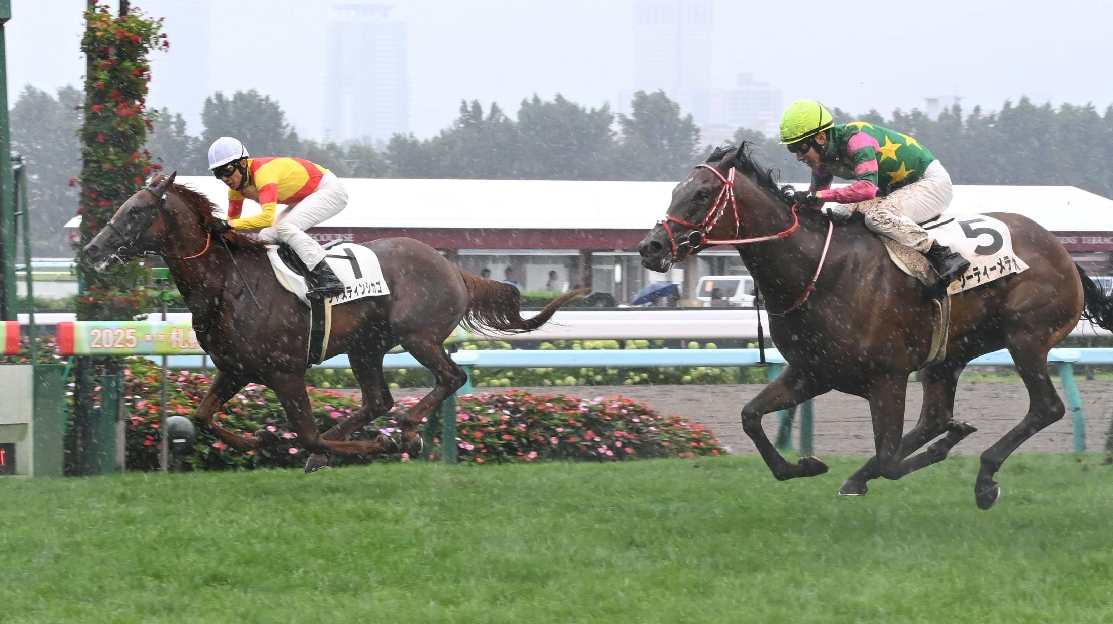 【新馬戦】ジャスティンシカゴ　直線振り切った　武豊も活躍期待「すごくいい跳びで走る」