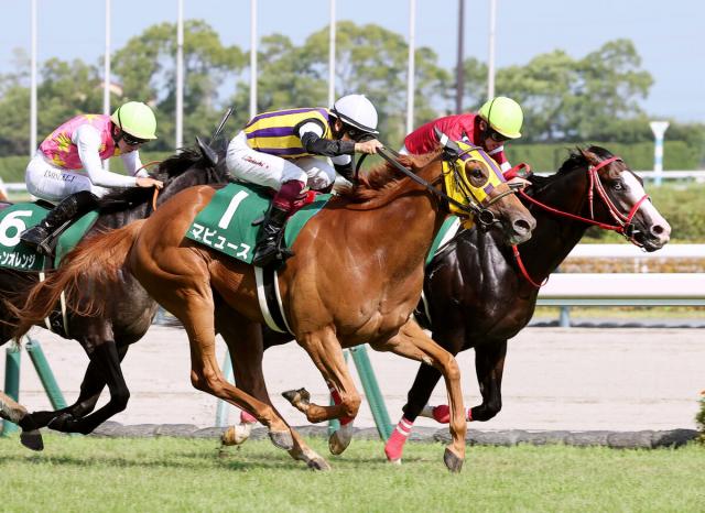 【中京記念】横山武史騎手、父・典弘騎手と親子初同日重賞V　「伸びてくれ」3歳牝馬マピュースで首差制す