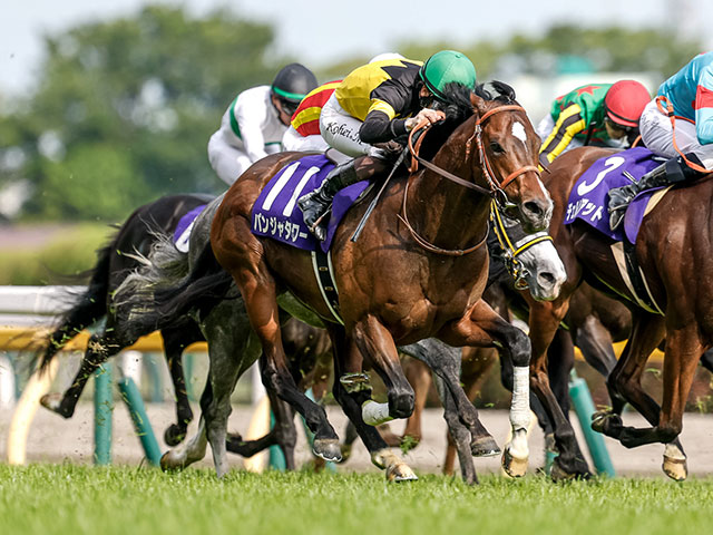 【キーンランドC想定騎手】パンジャタワーは松山弘平騎手、レイピアは北村友一騎手