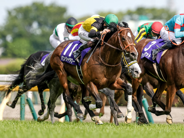 【キーンランドC見どころ】GI馬パンジャタワーの復帰戦に注目