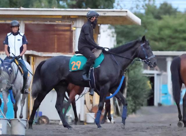 【新潟2歳S・浅子の特注馬】リアライズシリウスは加速の反応速度がアップ　G1でも楽しみな素材の可能性