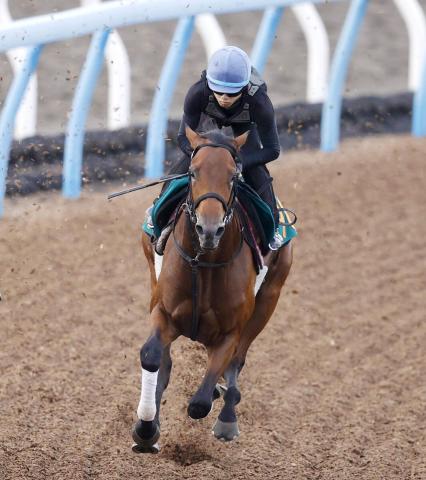 【新潟2歳S・イシゴーの特注馬】新潟外回りでサノノグレーター末脚全開　尾形調教師「距離はもっとあってもいいくらい」