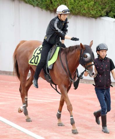 【新潟2歳S】皐月賞馬の妹フェスティバルヒルが牝馬クラシックへ足がかりに　四位調教師「非常に素質がありそう」