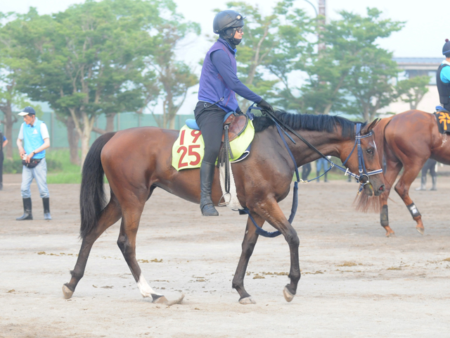 半姉はG1・香港ヴァーズVのウインマリリン 日曜札幌で初陣迎えるウインベルチェーロ/関東馬メイクデビュー情報