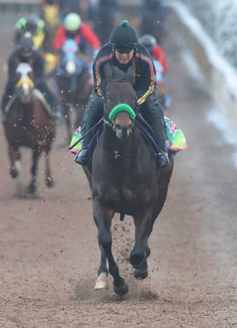 【佐賀競馬　Jpn3サマーチャンピオン　9.4発走】選定馬発表　エンペラーワケアなど12頭