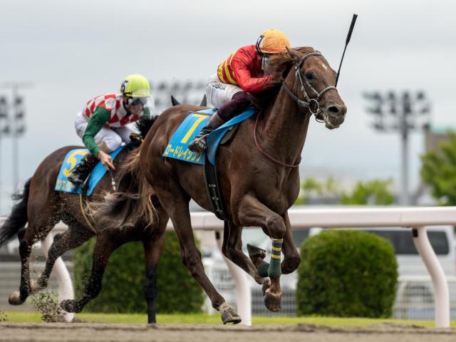 【浦和・ルーキーズサマーC枠順】2戦2勝のロードレイジングは5枠5番