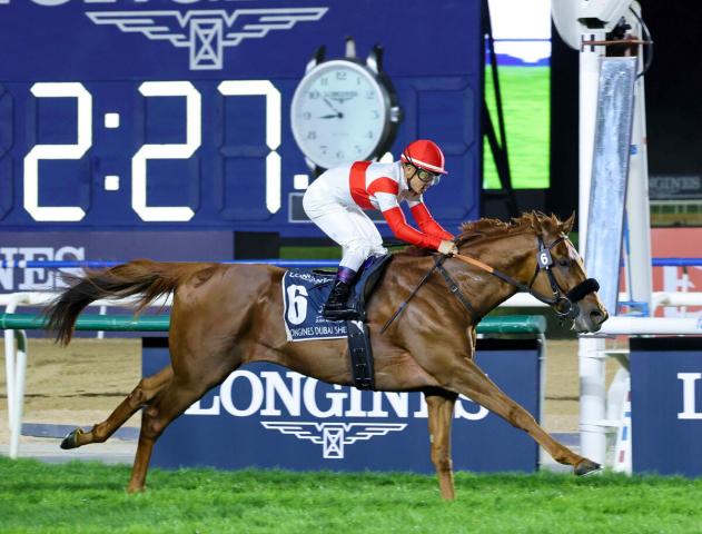 【インターナショナルS】海外G1連勝を狙うダノンデサイルは4番ゲートから発走　レースは6頭立て
