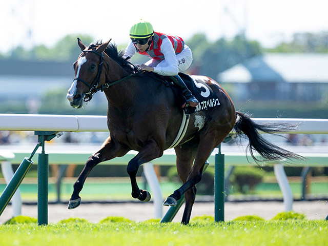 【キーンランドC展望】3連勝の上がり馬カルプスペルシュが重賞初制覇を狙う