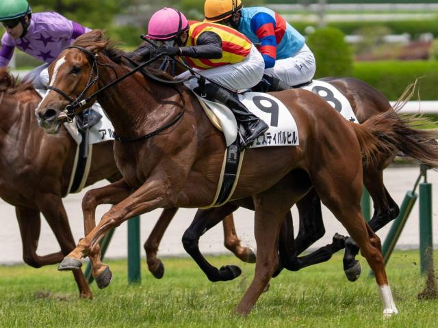 【新潟2歳S】半兄は皐月賞馬のミュージアムマイル フェスティバルヒルが重賞初制覇なるか
