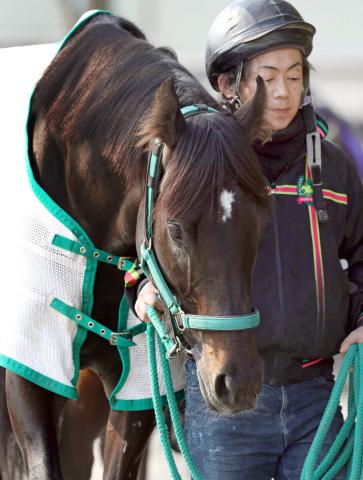 【注目馬動向】ルガルはスプリンターズS連覇目指す　ガイアフォースとエルトンバローズはマイルCSが目標