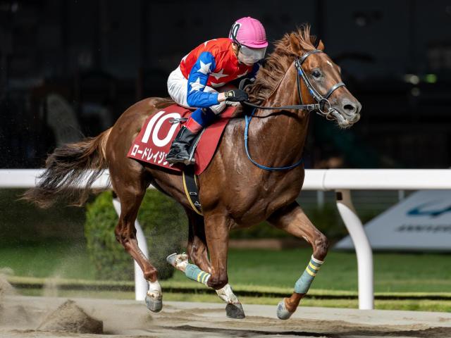 【浦和・ルーキーズサマーC注目馬】南関東最初の2歳重賞に素質馬集結 秋の大舞台に向けて名乗りを上げるのは