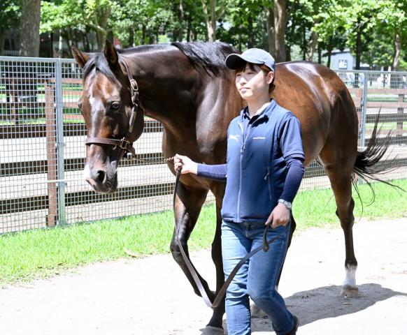 香港の歴史的名馬は北海道で生活中　G1を10勝し昨年9月引退のゴールデンシックスティが“会いに行ける伝説”に