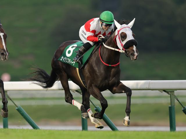 【盛岡・ジュニアグランプリ結果】1番人気セイクリスティーナが3連勝で重賞2勝目を挙げる