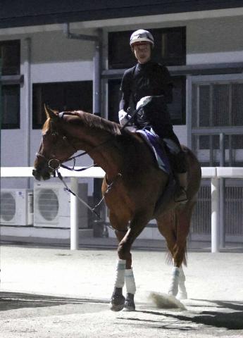 【英・G1インターナショナルS】ダノンデサイル　左回りで連勝だ!安田師「しっかり管理したい」