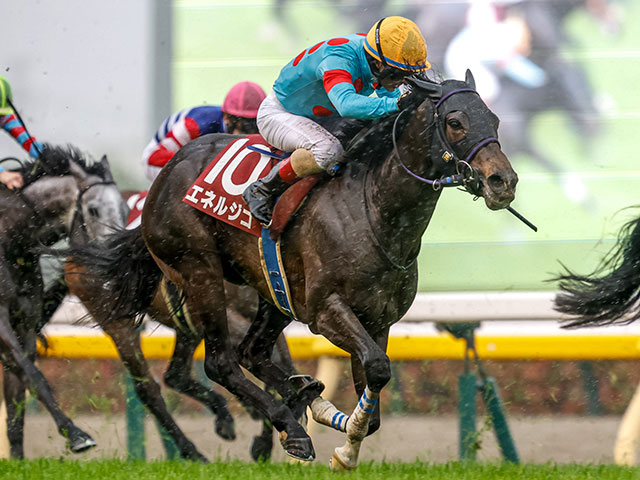 【新潟記念想定】エネルジコやクイーンズウォークなど15頭
