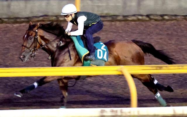 【中京2歳S・1週前】マイケルバローズが軽快な動きで好調アピール　上村調教師「いいものを持っています」
