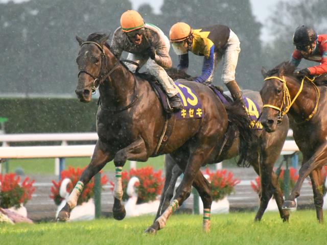 ダート800mで新種牡馬キセキの産駒初勝利 現役時代には菊花賞制覇