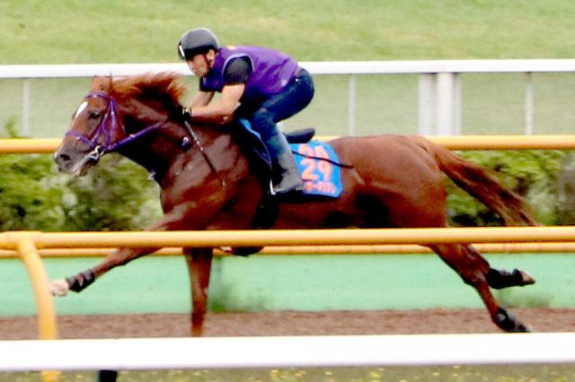 【キーンランドC】ウインカーネリアンは8歳馬とは思えない活気と伸び脚　陣営「走りが軽くなっている」