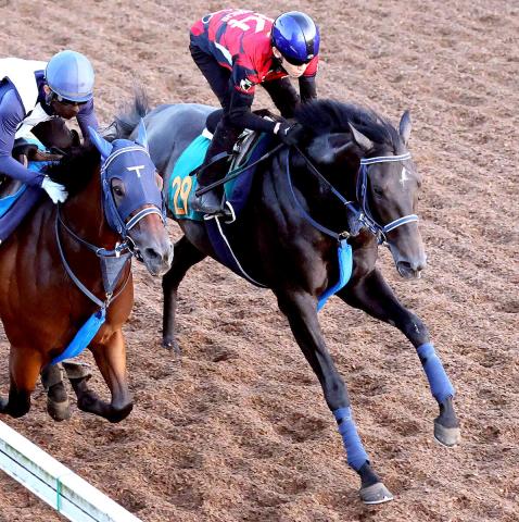 【新潟2歳S】リアライズシリウスは古馬に馬なりで併入　津村明秀騎手「動き抜群」
