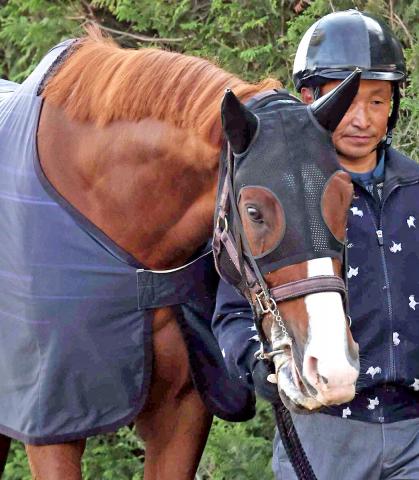 【注目馬動向】天皇賞・春4着のサンライズアースは池添謙一騎手で京都大賞典へ