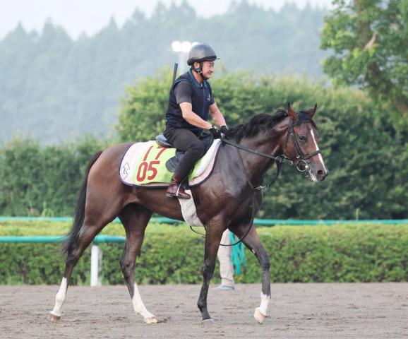 【新潟2歳S】新馬戦Vメーゼは活気十分に登坂　菊沢調教師「余裕があっていい動き」