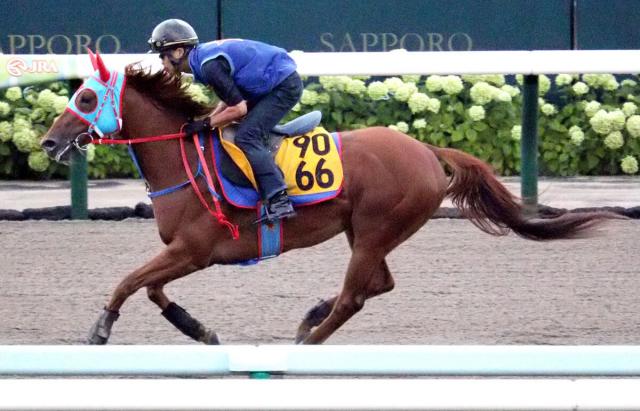 【キーンランドC】勝ったUHB賞から中1週のフィオライアは追い切らずキャンターで調整「馬体回復メインで」