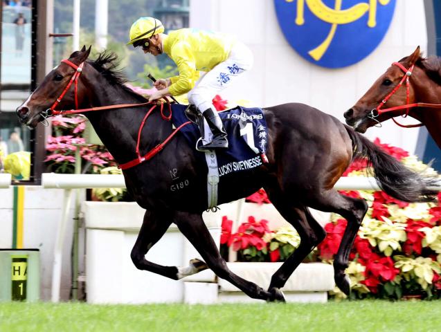香港G1を4勝しているラッキースワイネスがスプリンターズSに予備登録
