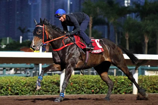 香港G14勝のラッキースワイネスがスプリンターズSに予備登録