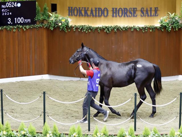 2025サマーセールの3日目が終了 総額12億で最高額はカラヴァッジオ産駒の3100万円