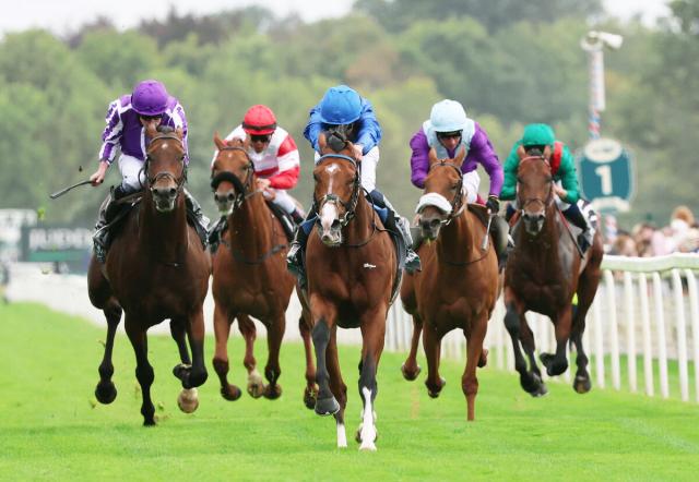 【インターナショナルS】ダノンデサイルは日本馬初の快挙には届かず5着　安田調教師「ちょっと特異なレースになった」