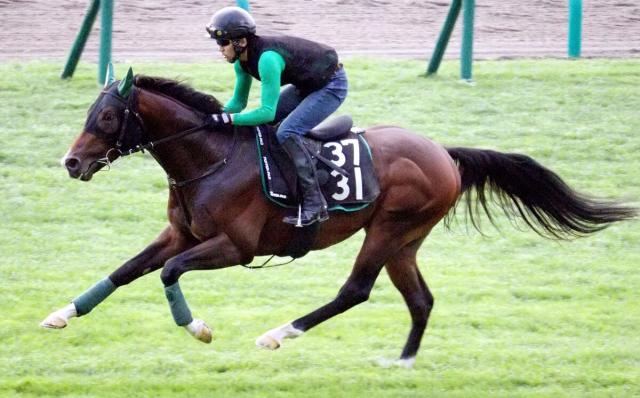 【キーンランドC】レイピア「グングン良化」3連勝で祖母が制した重賞頂く