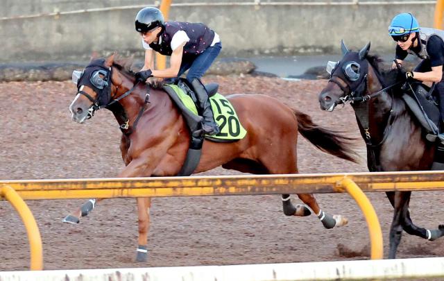 【新潟2歳S】皐月賞馬半妹フェスティバルヒル4馬身半先着「能力天井高い」