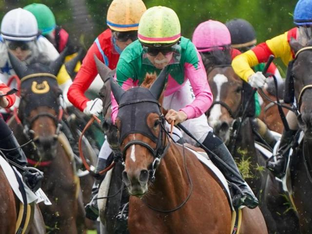 半兄はGII・3勝のプラダリア パフュームセントが約1年ぶりの実戦で初勝利なるか