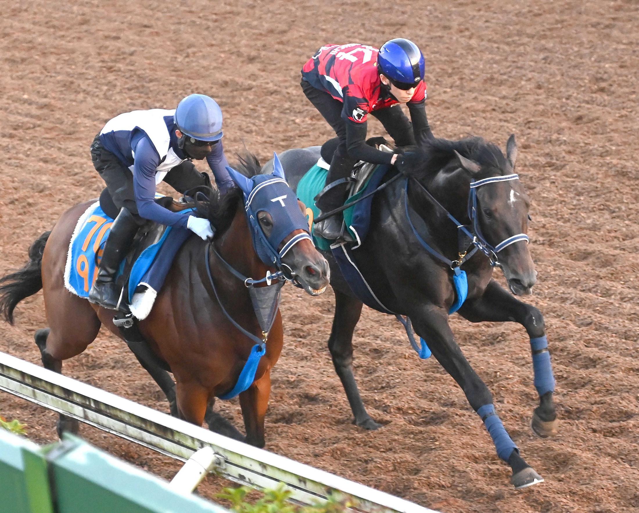 【新潟２歳Ｓ】リアライズシリウス　仕上がり良好　新種牡馬の父ポエティックフレア譲りの高い完成度　ゲートクリアでＶ目前
