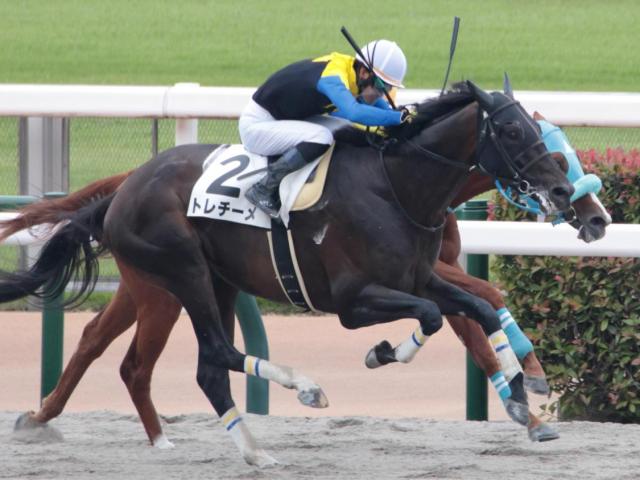 半兄はGI・2勝のラブリーデイ トレチーメが休み明けVなるか