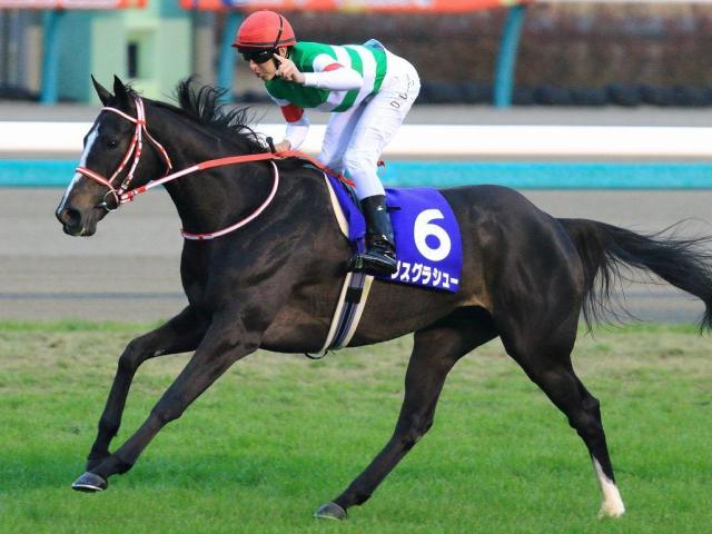 叔母は名牝リスグラシュー ルージュダリアがデビュー勝ちなるか