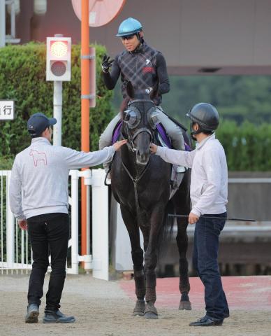 日本ダービー馬のクロワデュノールが仏遠征へ順調　北村友一騎手「気になるところもなくいい状態」