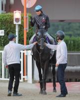 クロワデュノールの調教を終え、斉藤崇史調教師（左）に話す北村友一騎手（カメラ・朝田　秀司）