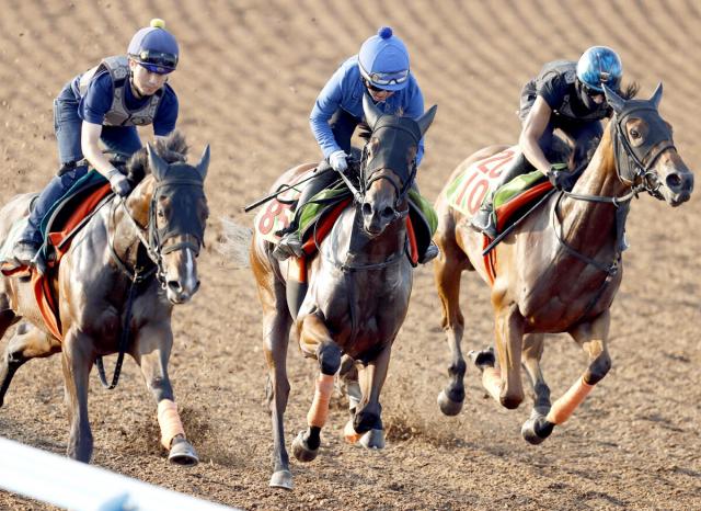 【中京2歳S1週前】セイウンアインスは切れのある動き　今村聖奈騎手「競馬に行った方が良さがあります」