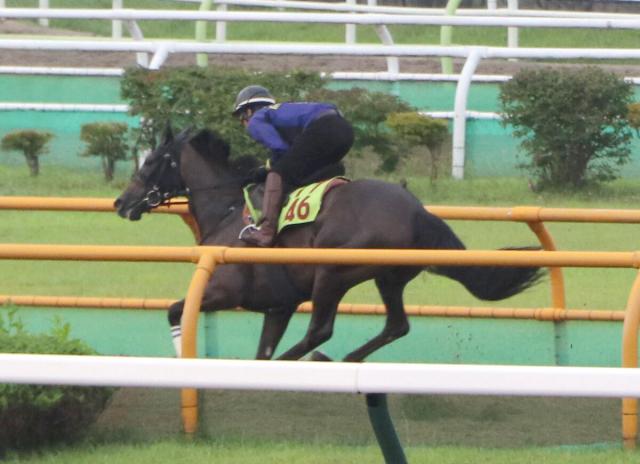 【POG】母が仏G1馬のリスレジャンデールは乗り込み十分　陣営「距離に融通利きそう。態勢は整っている」