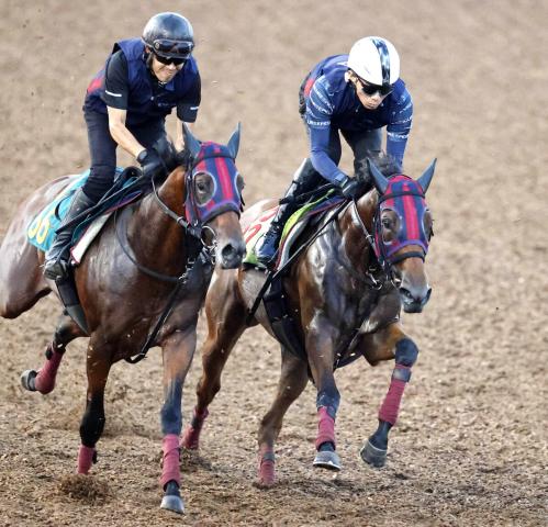 【中京2歳S・1週前】パープルガーネットが初年度Vに名乗り　森一調教師「いい勝負ができる」