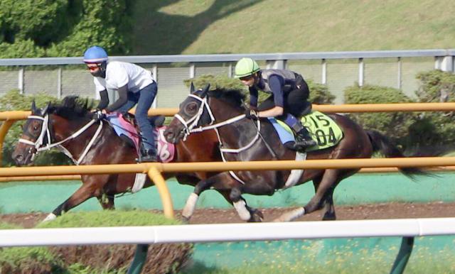 【POG】母スマートレイアーの良血スマートプリエールは札幌2歳Sへ調整順調　武豊騎手は勝てば18年ぶりの勝利