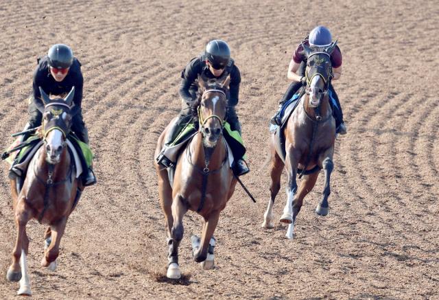 【新潟記念・1週前】転厩&去勢初戦に加えて調教再審査明けのサスツルギ　千葉調教師「1つ1つ確認してもらった」
